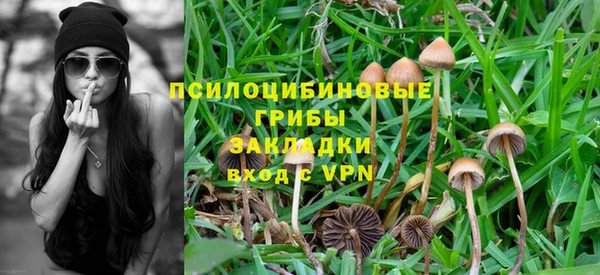 a pvp Алзамай